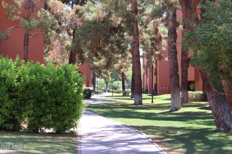 Meandering Pathways Throughout