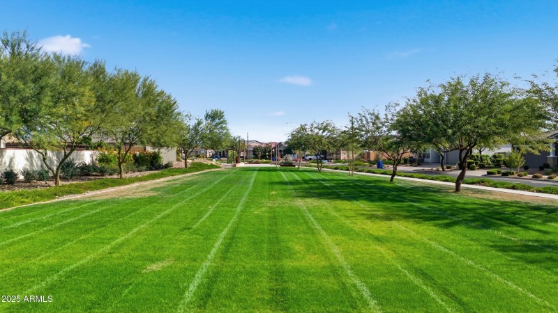 47_048_dji_20251117121810_0209_d