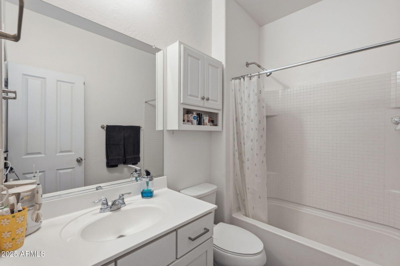 Lower level bathroom