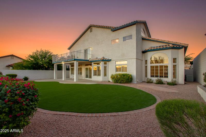 Backyard