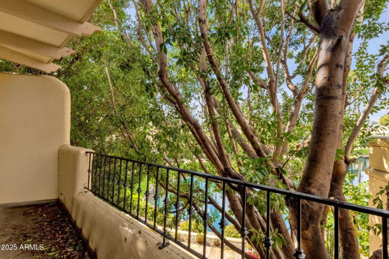 28-web-or-mls-10050-e-mountainview-lake-