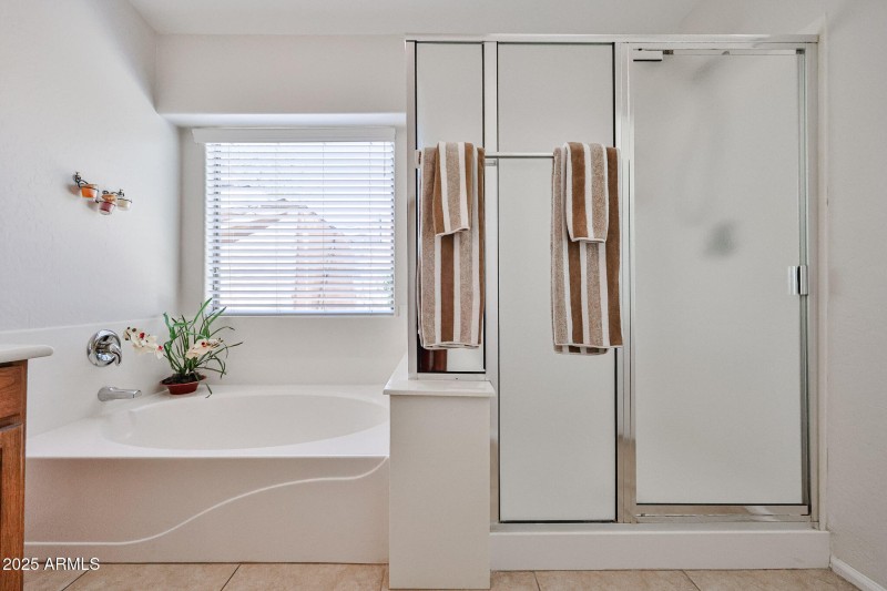 Walk-In Shower & Tub