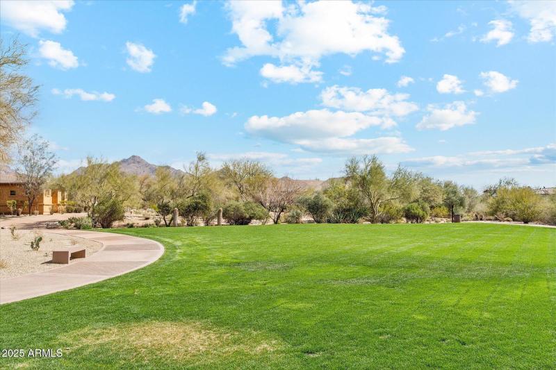 20250225215523748895000000-o