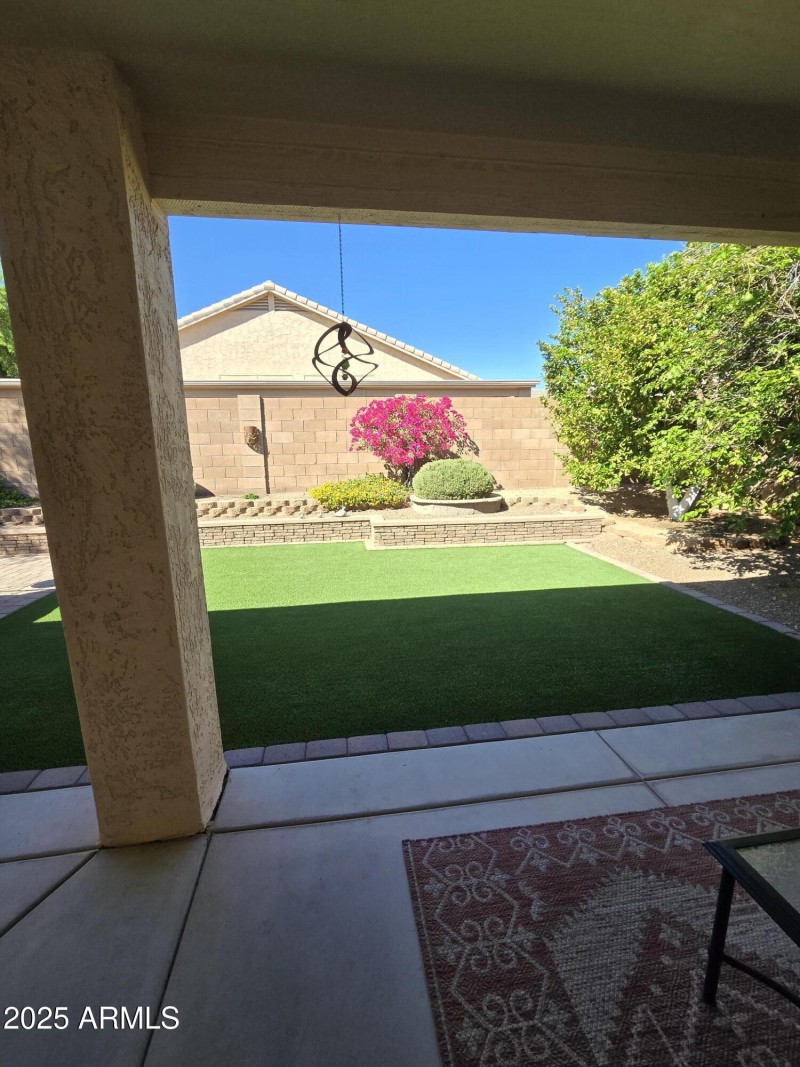 backyard-turf