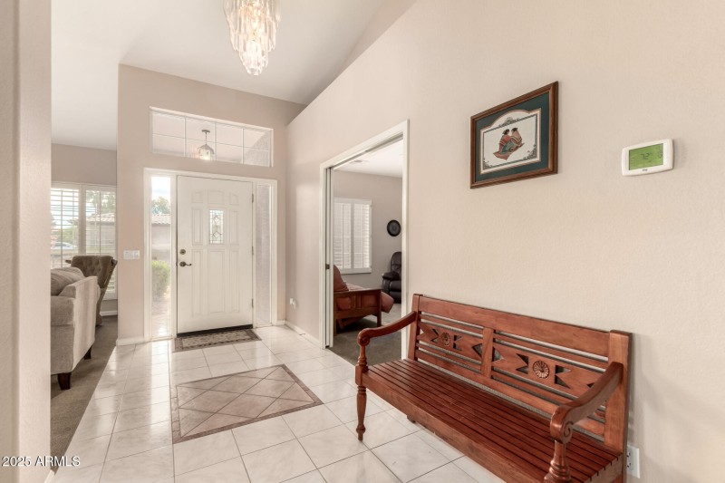 07 - Coopers Hawk 9342