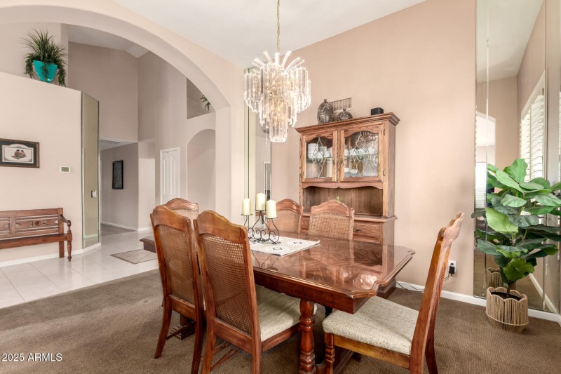 11 - Coopers Hawk 9342