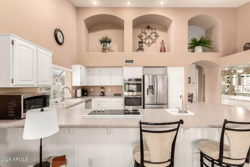 19 - Coopers Hawk 9342