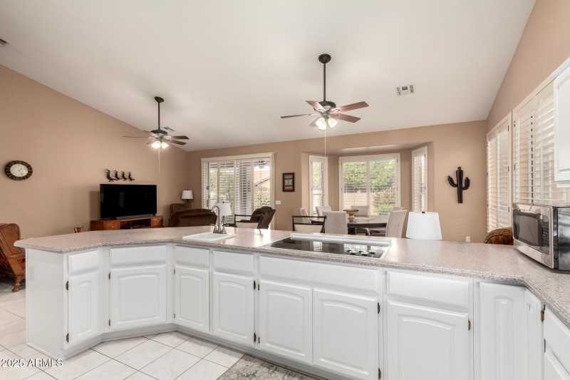 22 - Coopers Hawk 9342