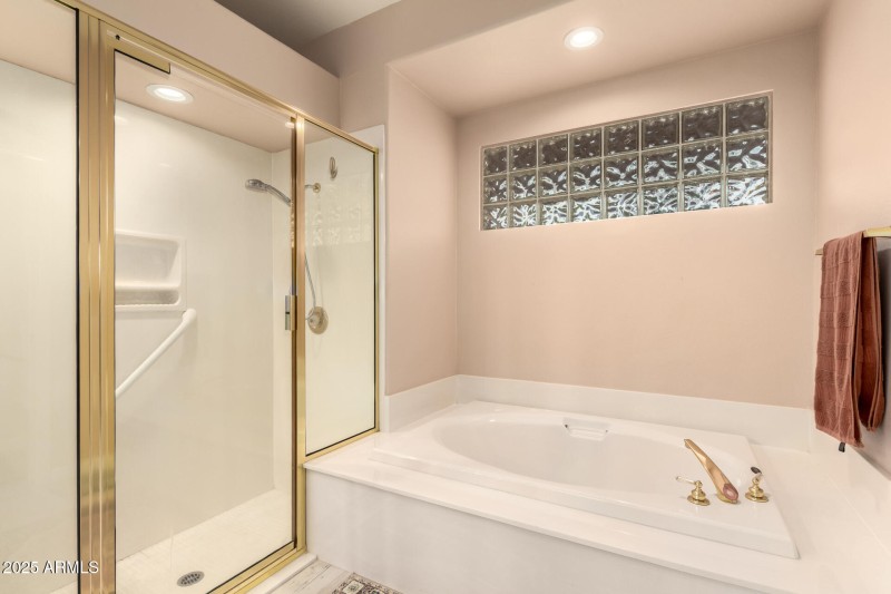 28 - Coopers Hawk 9342