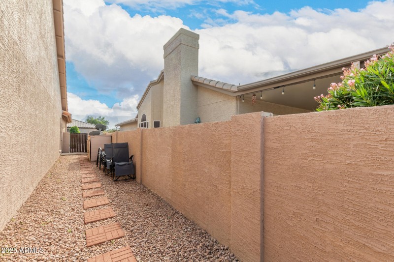 41 - Coopers Hawk 9342