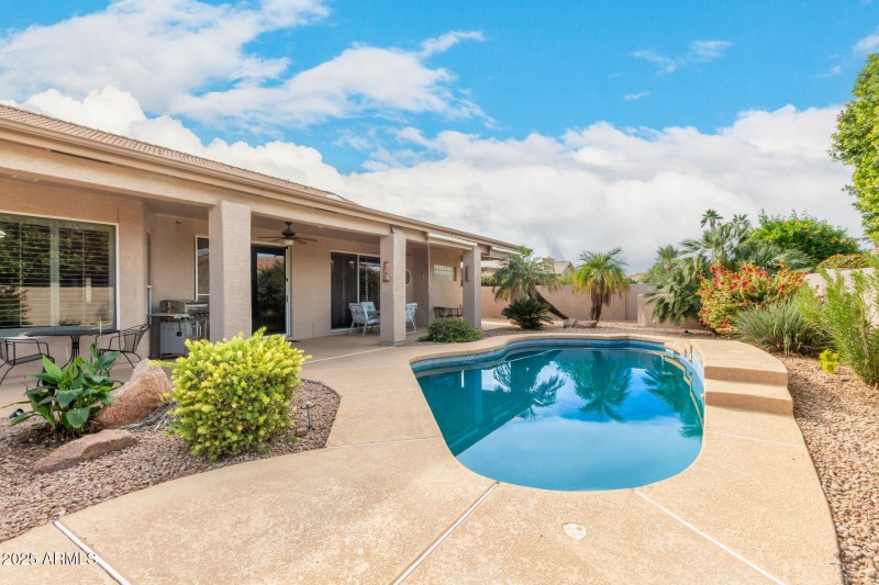 46 - Coopers Hawk 9342