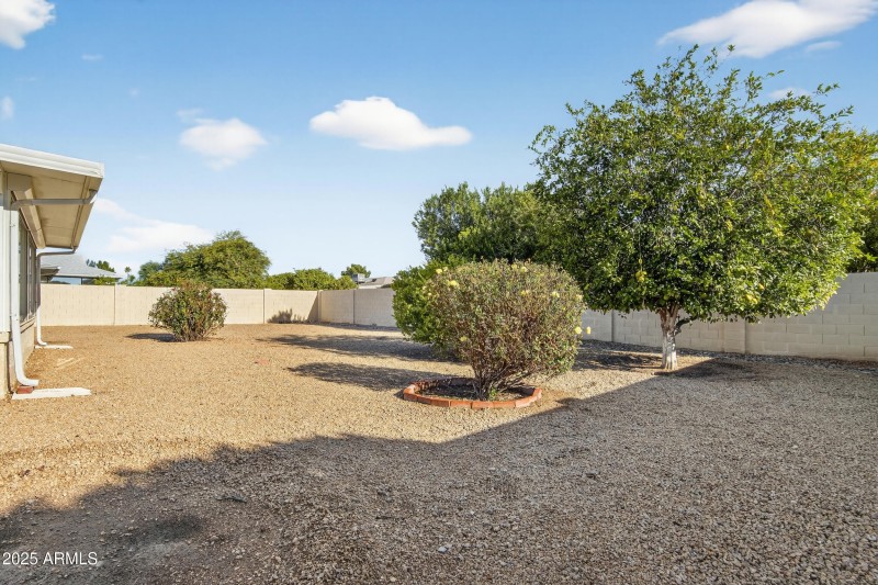 Easy Care Landscaping