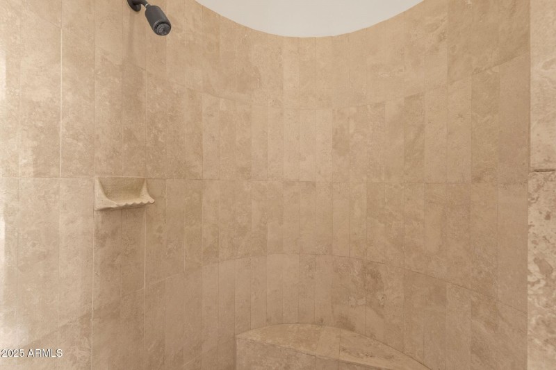 033_Primary Shower II