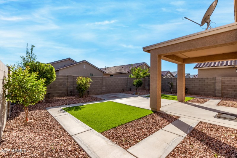 Back Yard