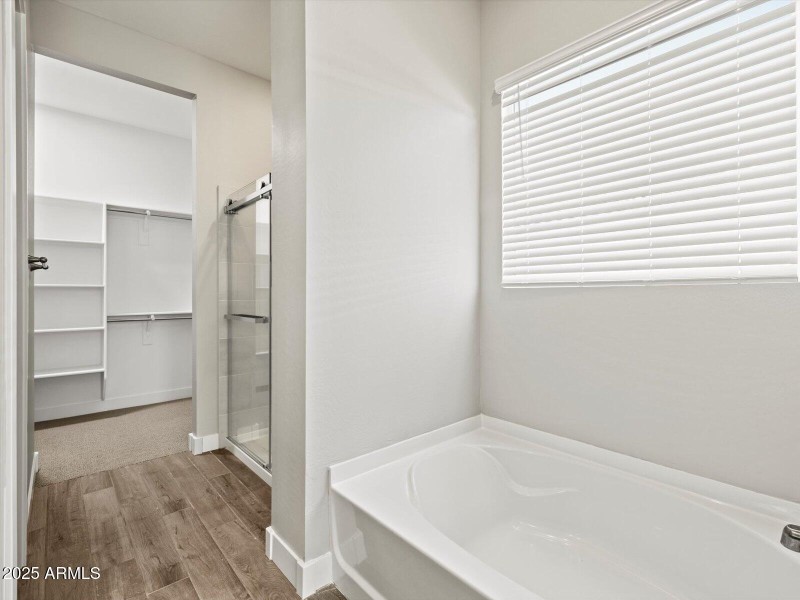 Primary Bathroom View 1