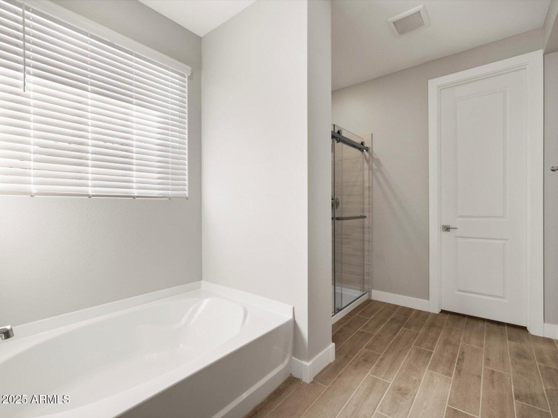 Primary Bathroom View 1