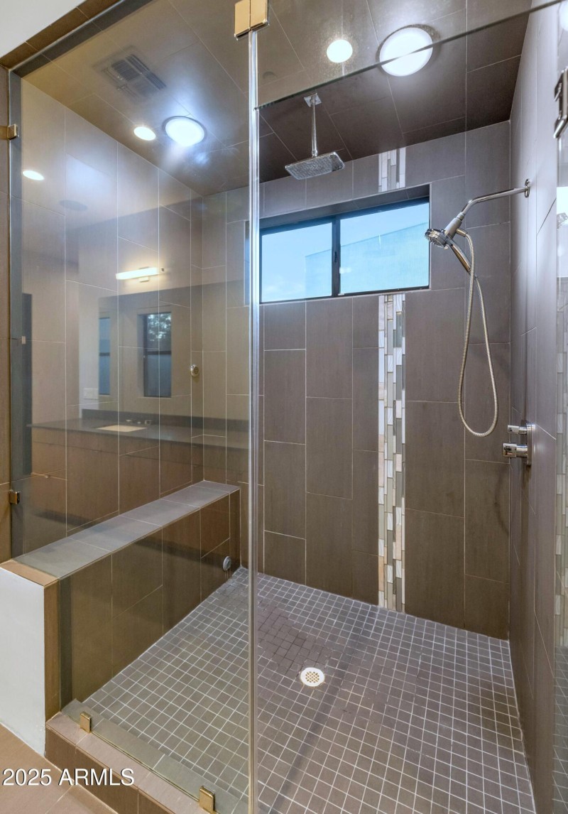 Primary Shower