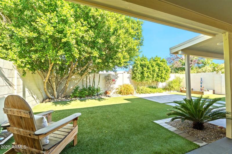 Super nice backyard