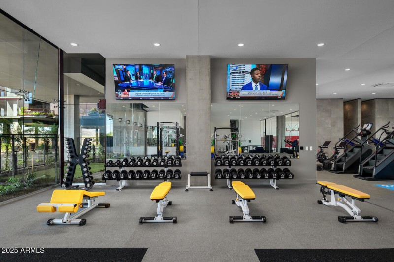 8 Amenity Free Weights