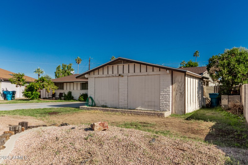 02 - Royal Palm 3836