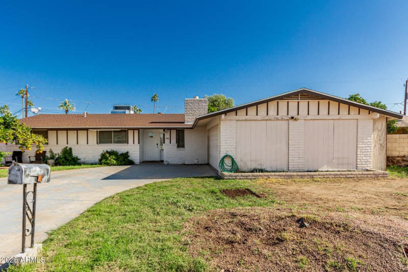 03 - Royal Palm 3836