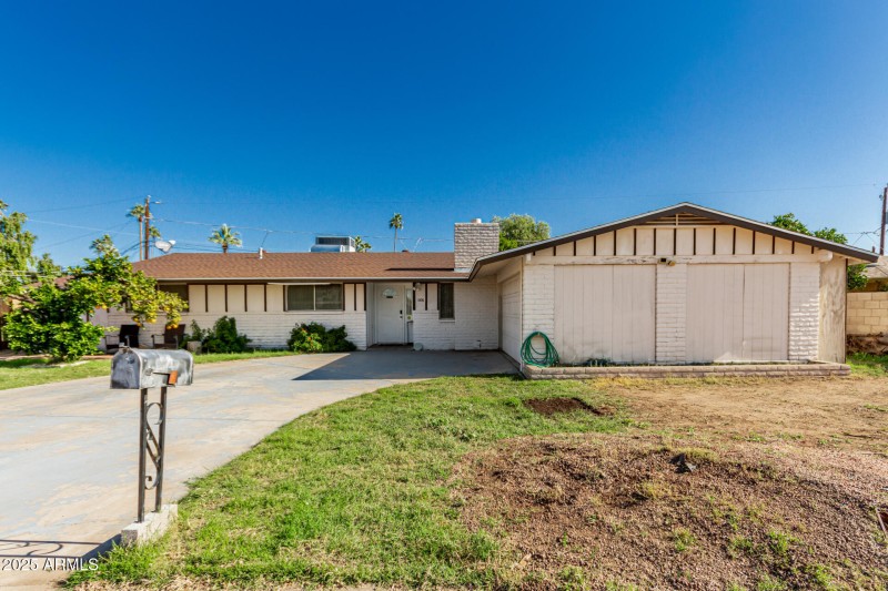 04 - Royal Palm 3836