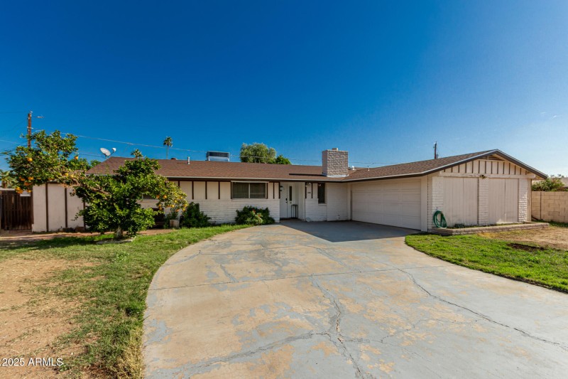 05 - Royal Palm 3836