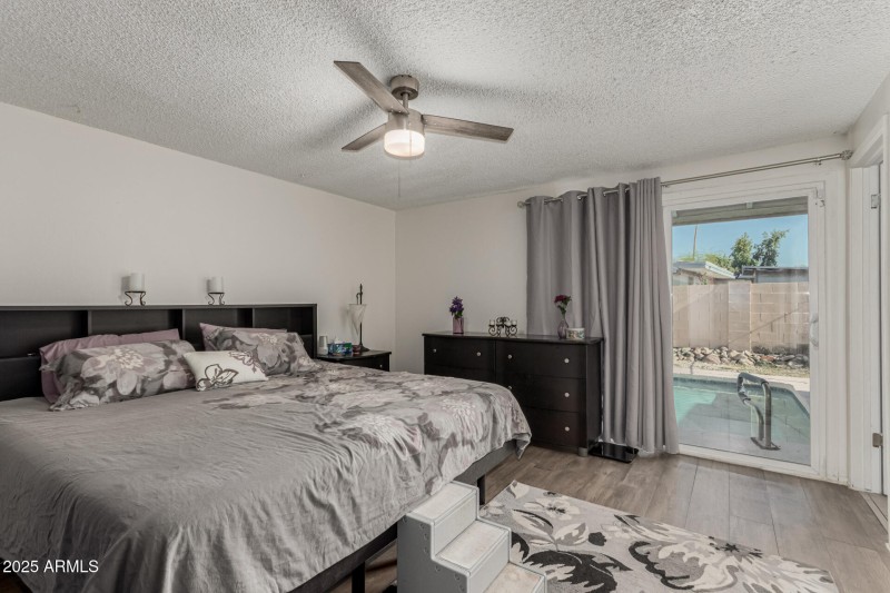 20 - Royal Palm 3836