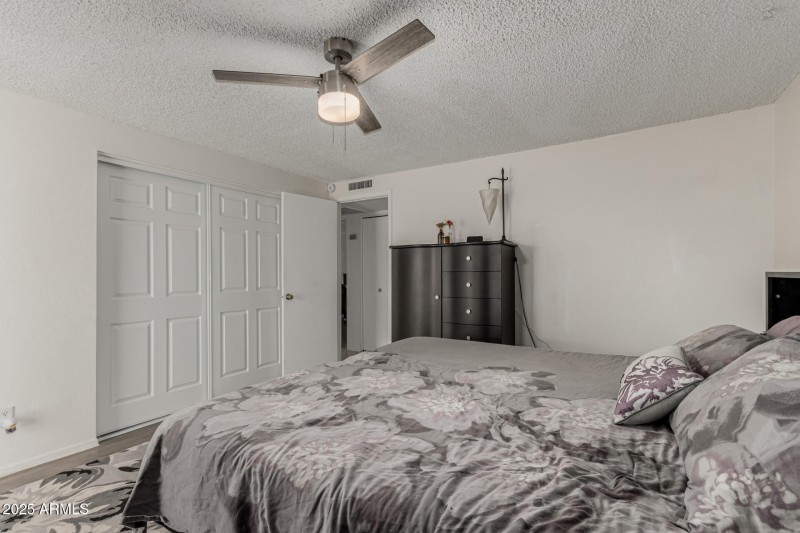 21 - Royal Palm 3836