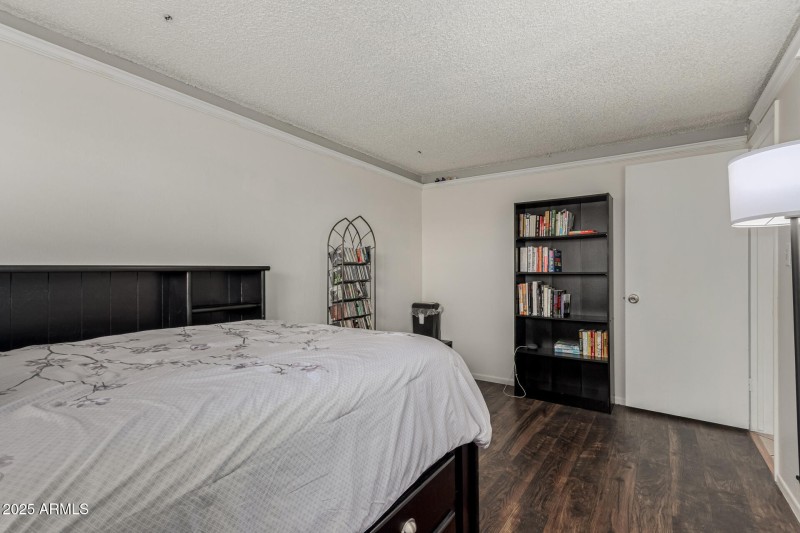 24 - Royal Palm 3836