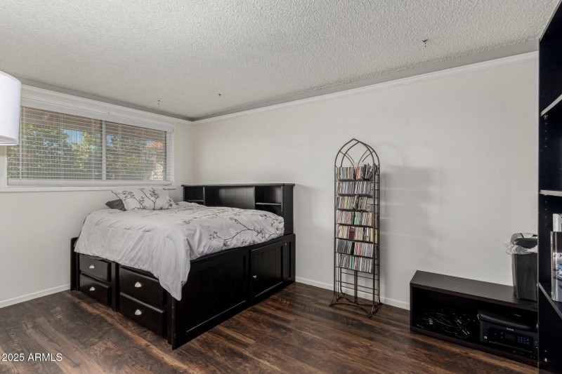 25 - Royal Palm 3836