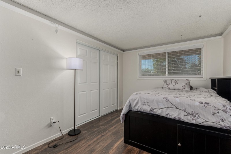 26 - Royal Palm 3836