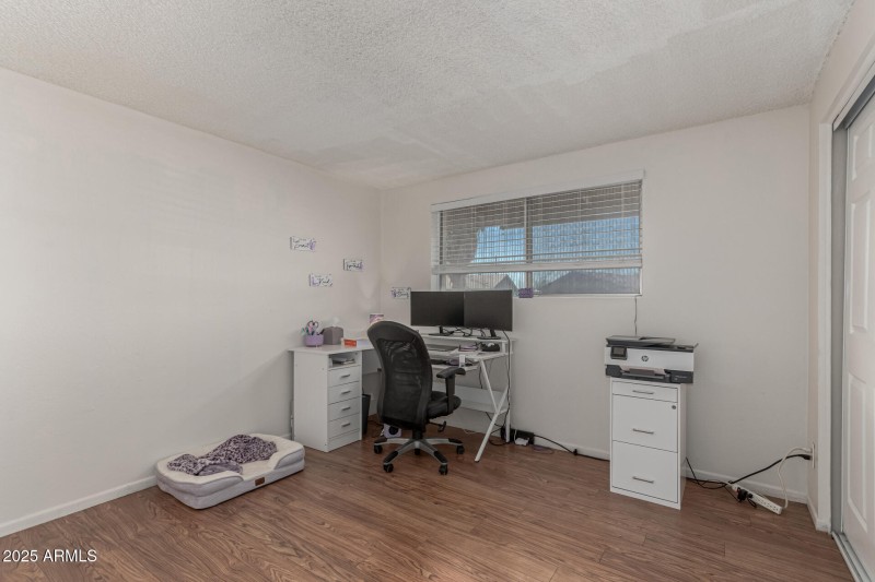 28 - Royal Palm 3836