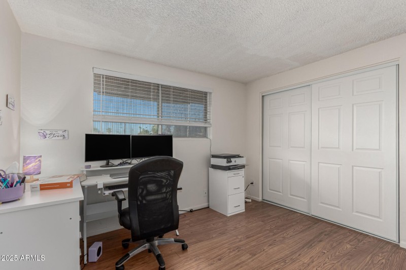 29 - Royal Palm 3836