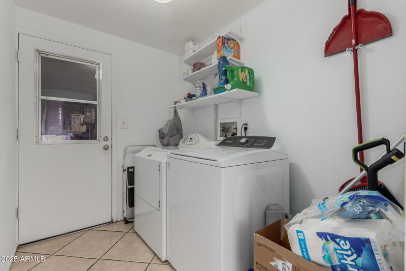 31 - Royal Palm 3836