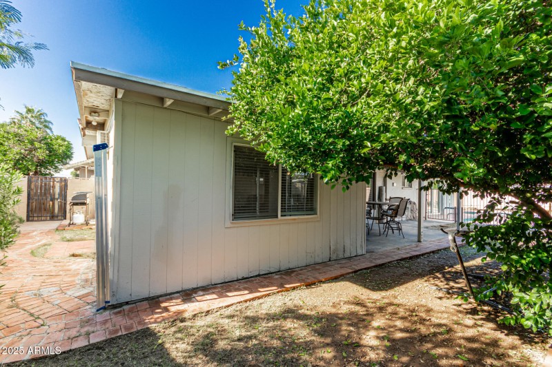 36 - Royal Palm 3836