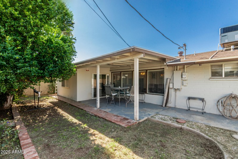 37 - Royal Palm 3836