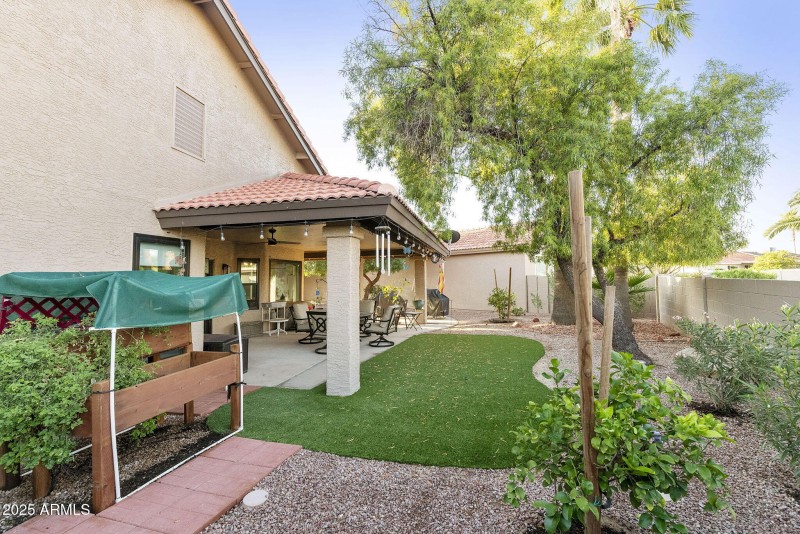 Back yard with raised planters