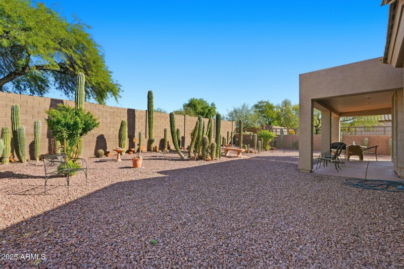 No watering system needed