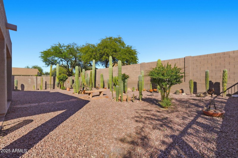 Thousands of $$$ worth of cacti