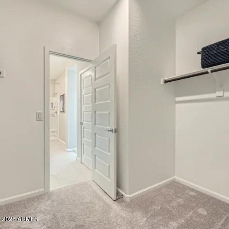 Owners Walk in Closet