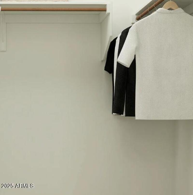 Owners Walk in Closet