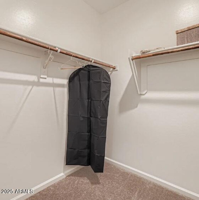 Owners Walk in Closet