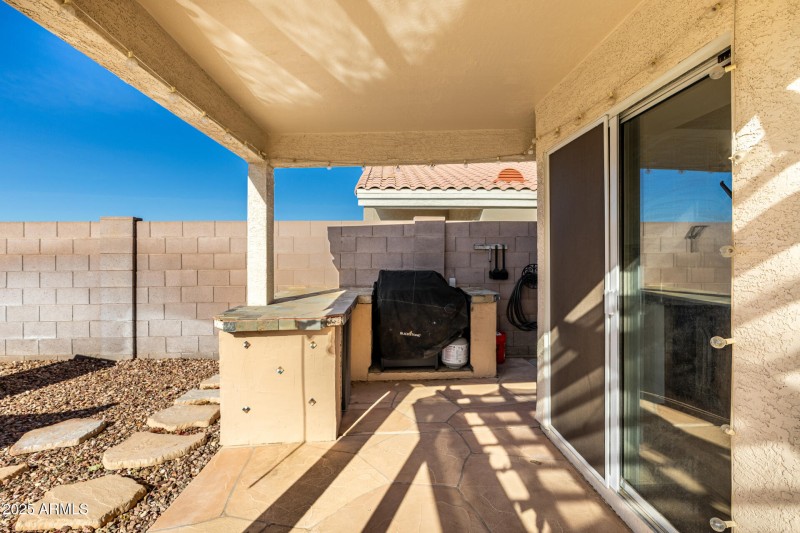 Back Patio/BBQ Area