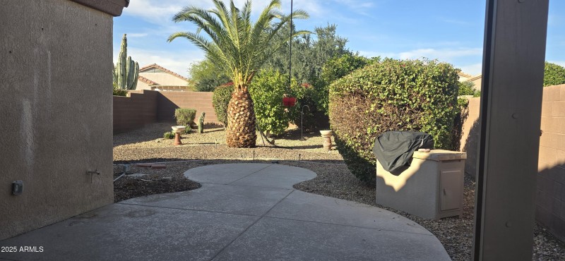 Nice and private backyard