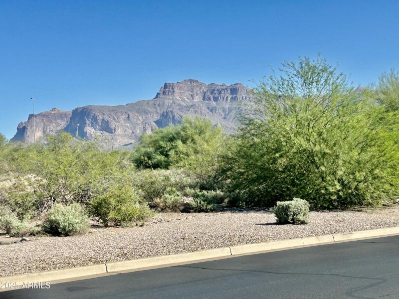 49) 64561-68fd03c5be5ce