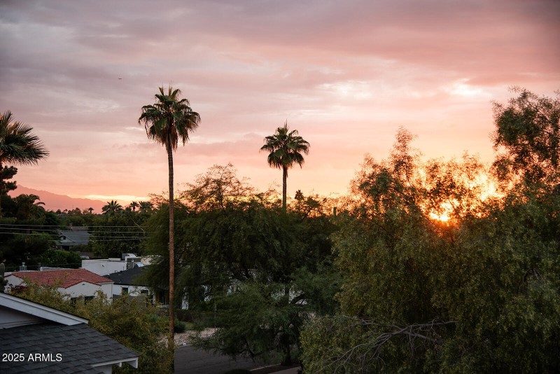 Sunset Rooftop Views