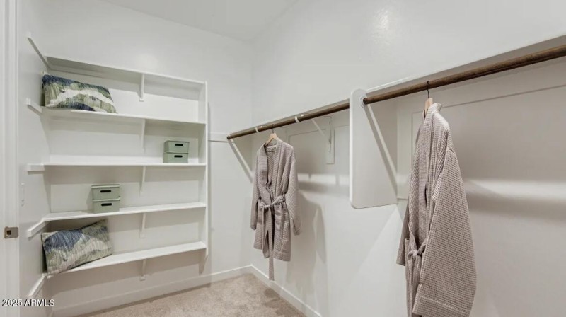 Owners Walk in Closet