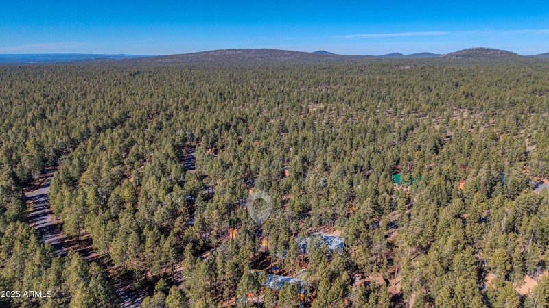 7185 Moon Creek Circle in Pinetop