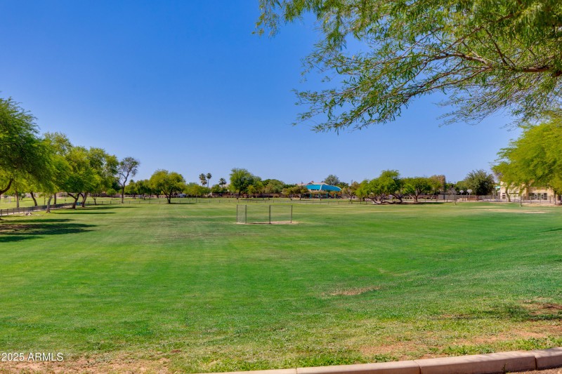 City of mesa park 2